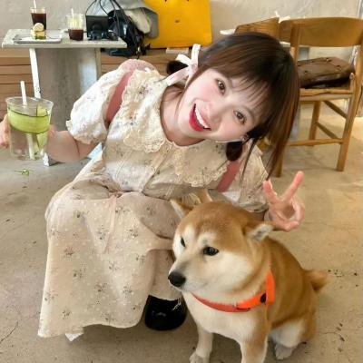 红玫瑰